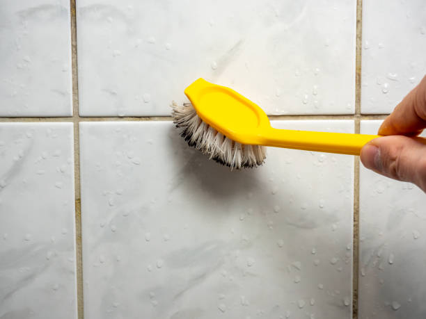 Best Residential Mold Remediation in Half Moon Bay, CA